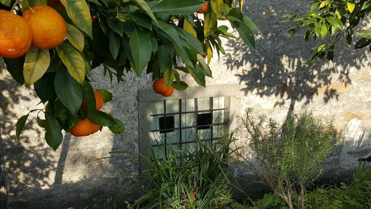 Casale Amati Country House Ortonovo Εξωτερικό φωτογραφία
